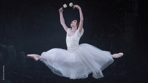 BALLET DU CAPITOLE DE TOULOUSE