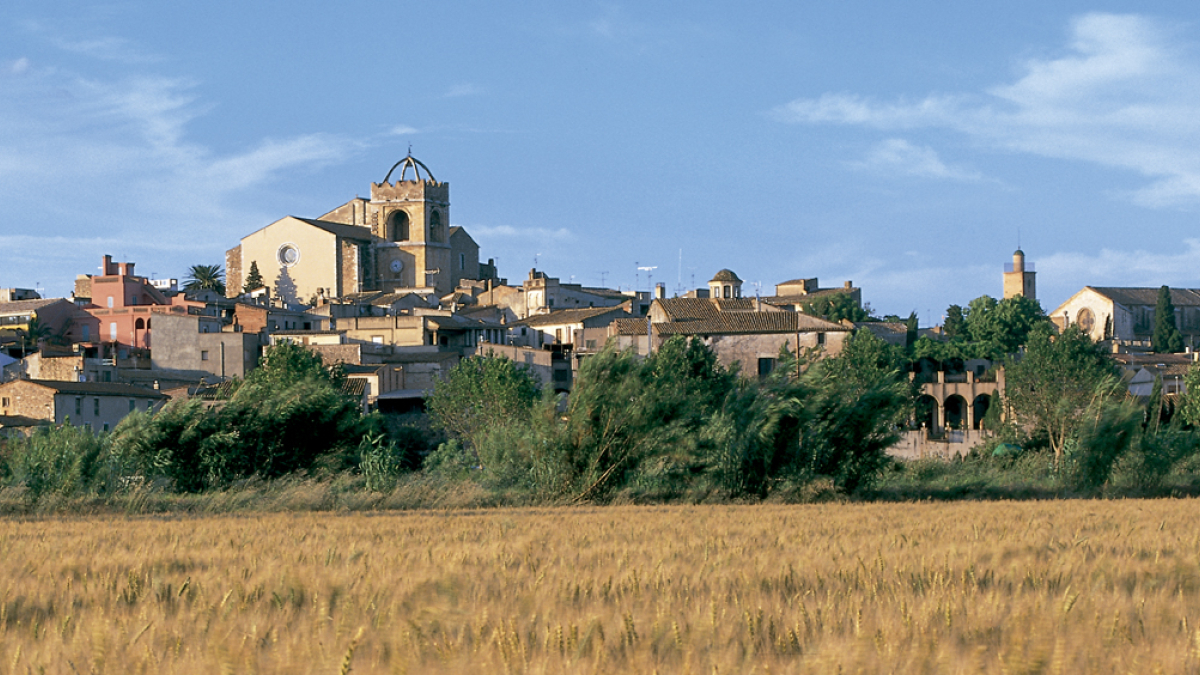 Gaudeix d'un 30% de descompte viatjant al Festival amb Renfe