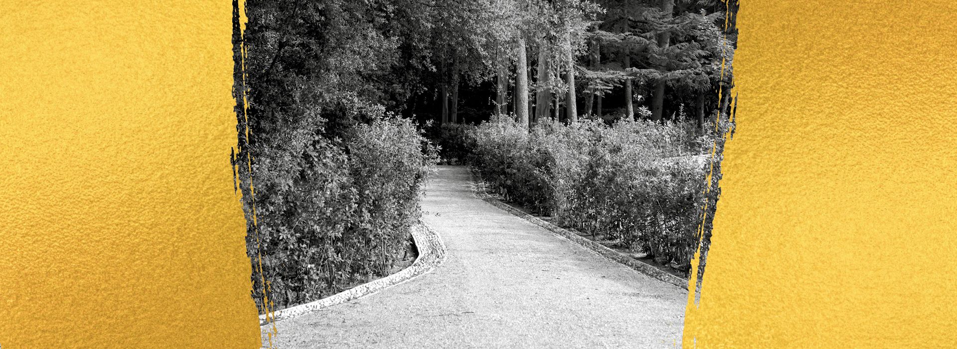 FESTIVAL PERELADA, 40 ANYS EN CAMÍ