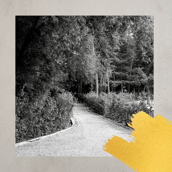 FESTIVAL PERELADA, 40 ANYS EN CAMÍ